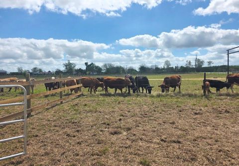 Photo of 816 Raccoon Bend Road, Bellville, TX 77418 (MLS # 21987198)