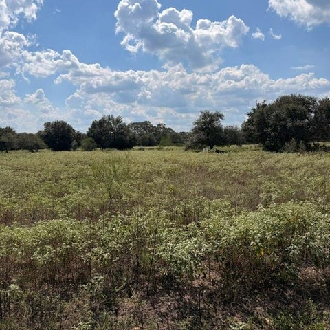 Photo of TBD Gadwall, Columbus, TX 78934 (MLS # 58394221)