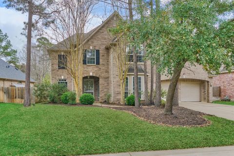 Photo of 18 Wyckham Circle, The Woodlands, TX 77382 (MLS # 14684562)