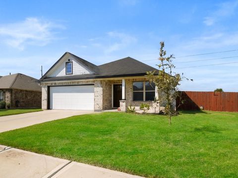 Photo of 9 Alyssa Palms Drive, Manvel, TX 77578 (MLS # 82058191)