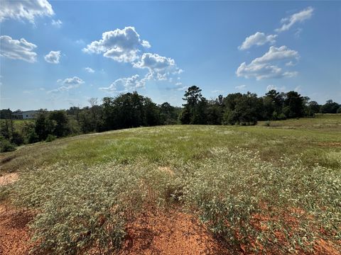 Vacant Land For Sale - 4867 Hunters Creek<br/> Hillister, TX 75979