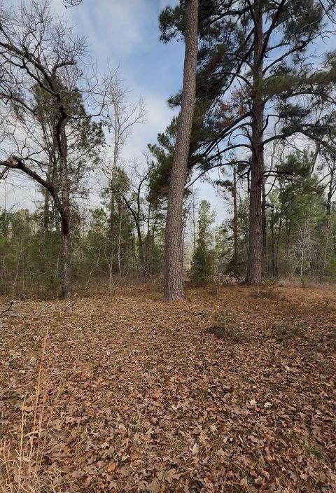 Photo of 24159 Weeren Road, Montgomery, TX 77316 (MLS # 86413861)