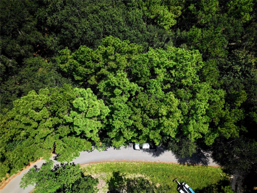Photo of 25613 Northampton, New Caney, TX 77357 (MLS # 41694777)