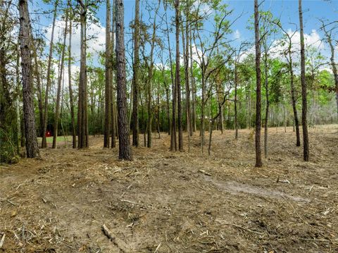 LOT 11 Mayhaw Lane Plantersville TX 77363