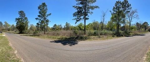 Photo of 5616 Tall Pine Rd Rd, Navasota, TX 77868 (MLS # 80746766)