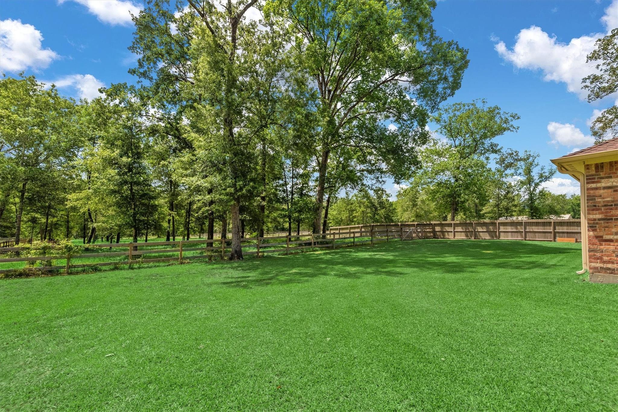 9171 Whitetail Drive