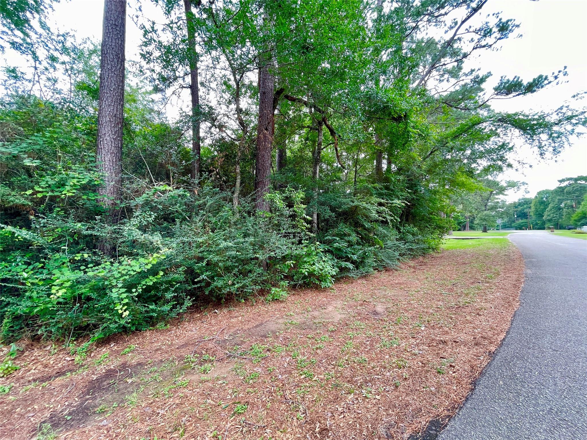 30803 Green Forest