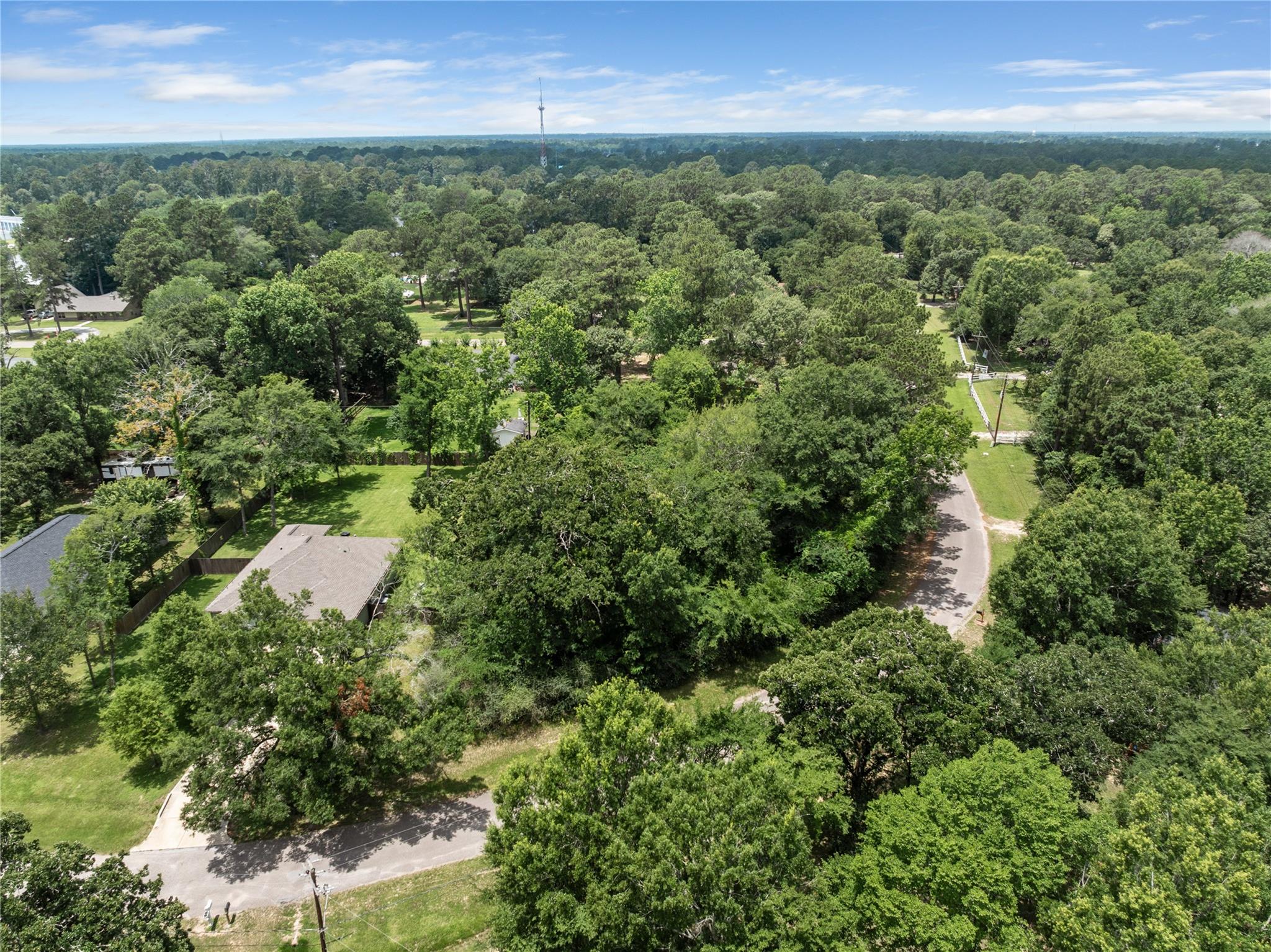 30803 Green Forest