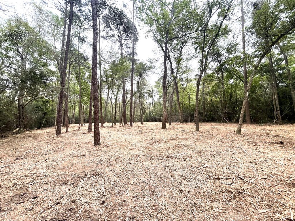 Photo of 0 Lilac Lane, New Caney, TX 77357 (MLS # 67351814)