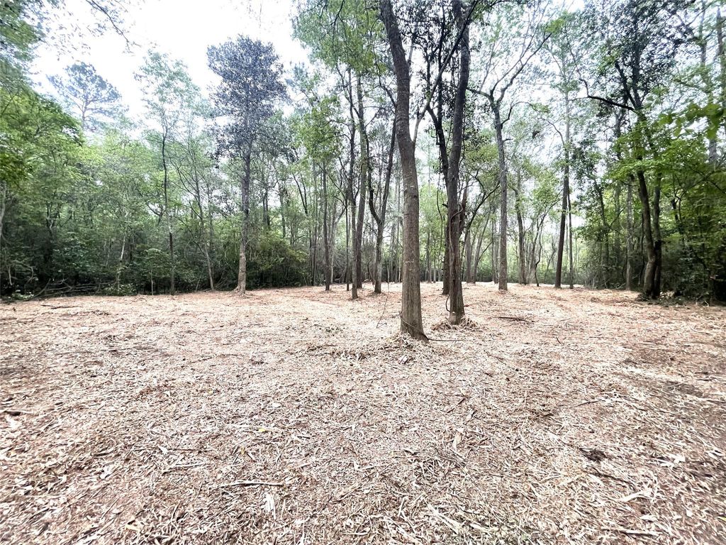 Photo of 0 Lilac Lane, New Caney, TX 77357 (MLS # 67351814)