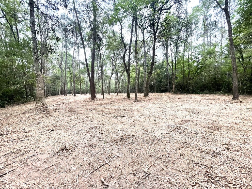 Photo of 0 Lilac Lane, New Caney, TX 77357 (MLS # 67351814)