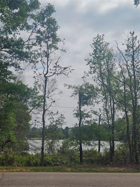 Photo of 13095 Royal Shores Drive, Conroe, TX 77303 (MLS # 58938670)
