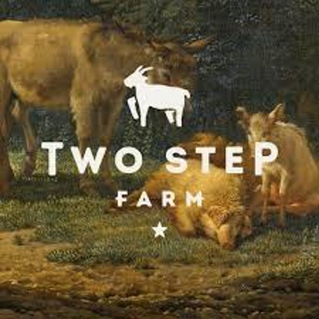 Photo of 11978 Braided Mane Street, Montgomery, TX 77316 (MLS # 48423250)