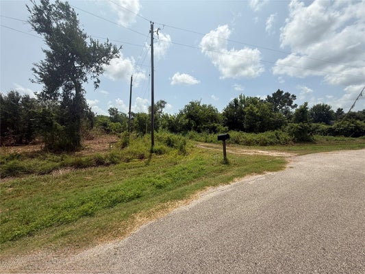 4337 COUNTY ROAD 659A, BRAZORIA, TX 77422 - Image b0921eff16ee2b6771eb45cd800f69ca/145307016