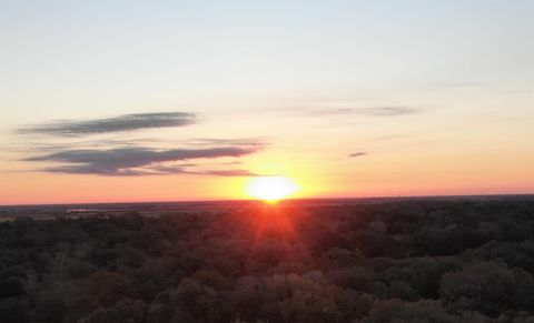 Vacant Land For Sale - 1044 Reeves Road<br/> Garwood, TX 77442