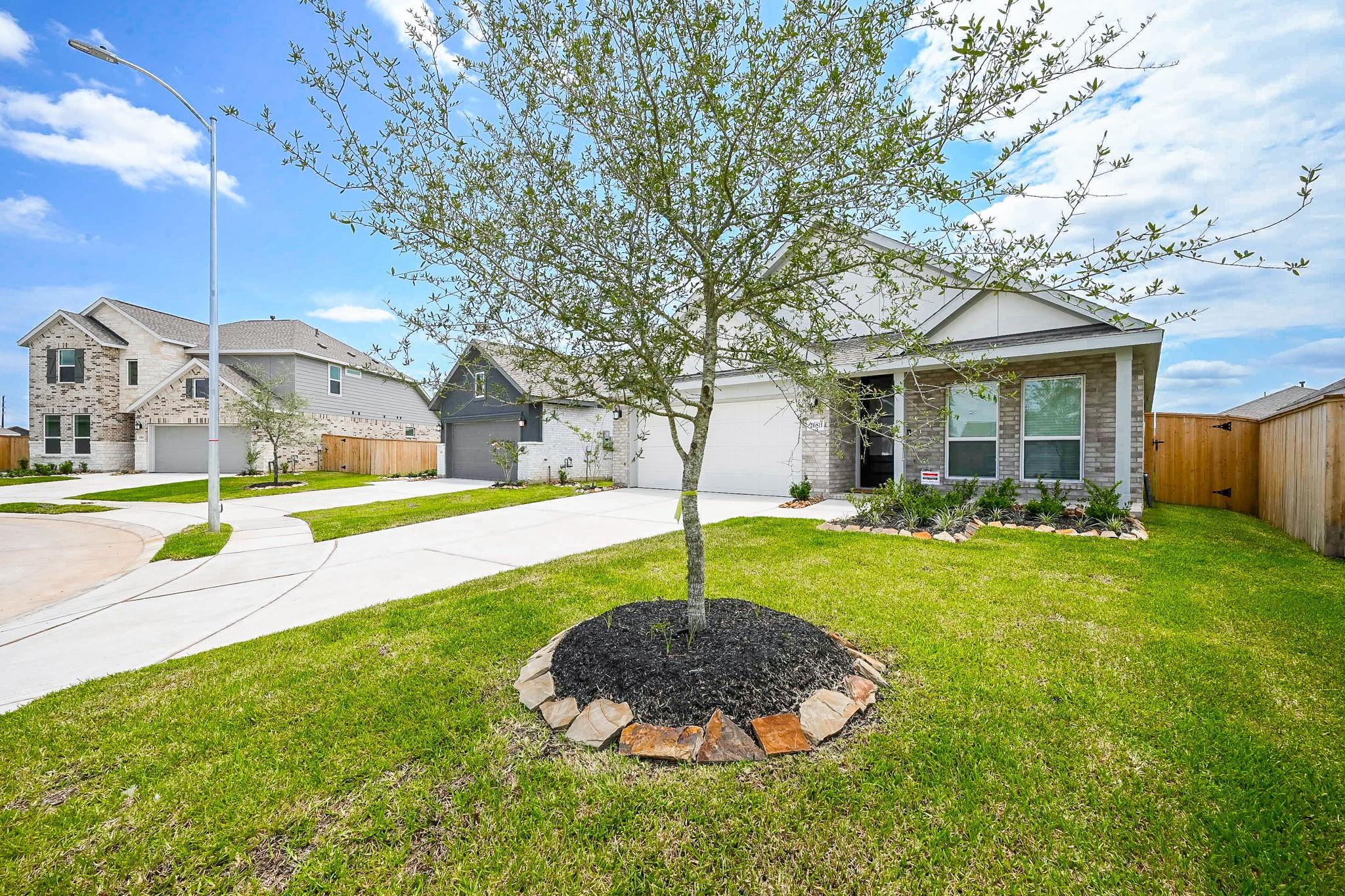 26811 Tree Mallow Drive