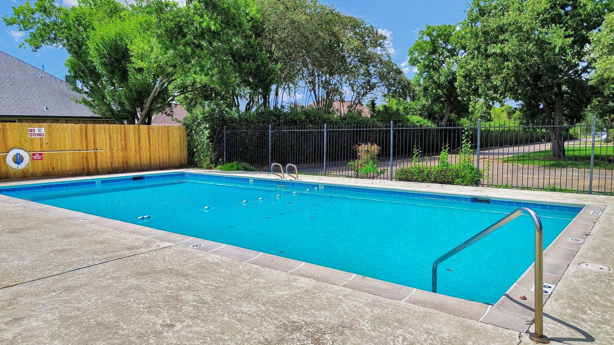55 Chervil Common