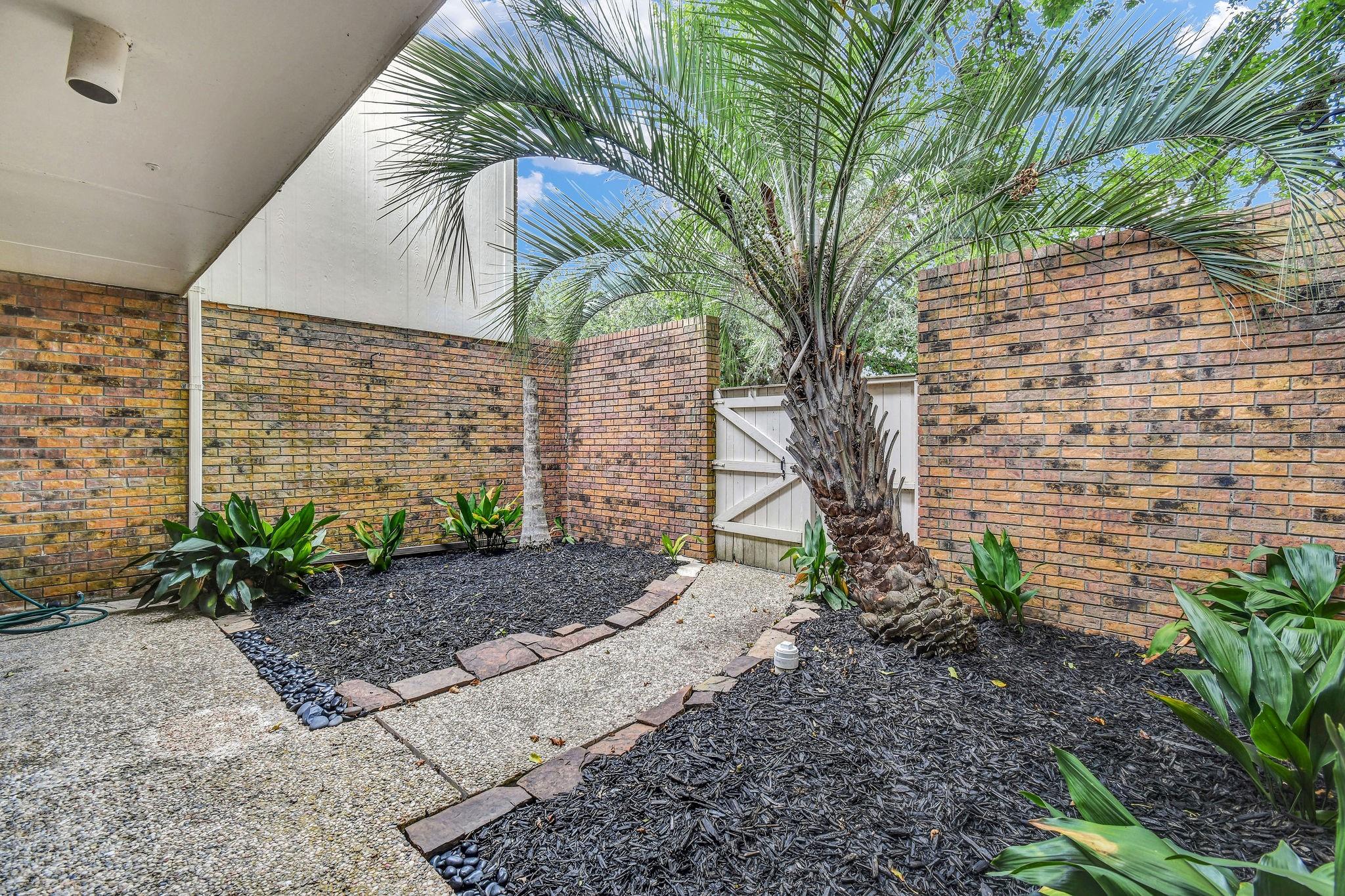 55 Chervil Common