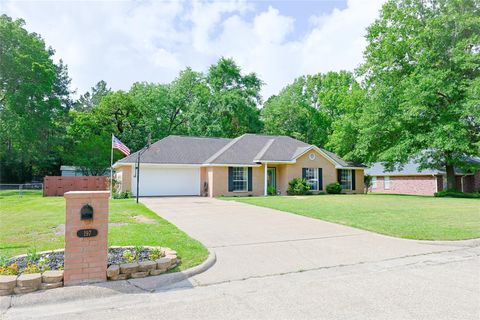 Photo of 197 Hunters Glen Drive, Hudson, TX 75904 (MLS # 93189223)