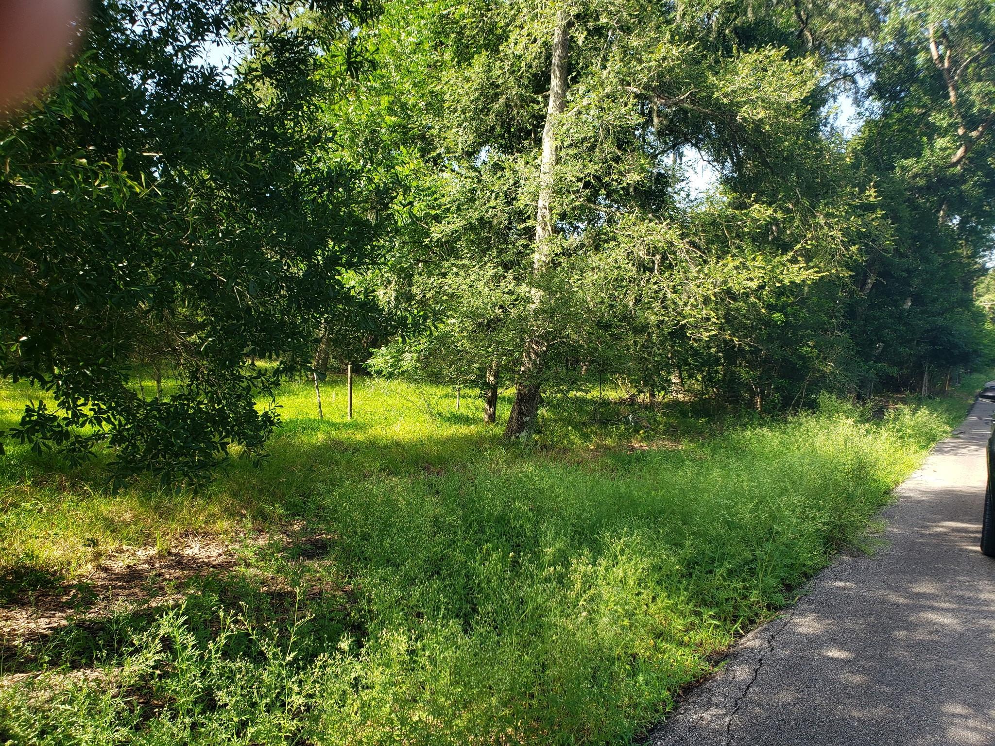 20921 Levee Road Road