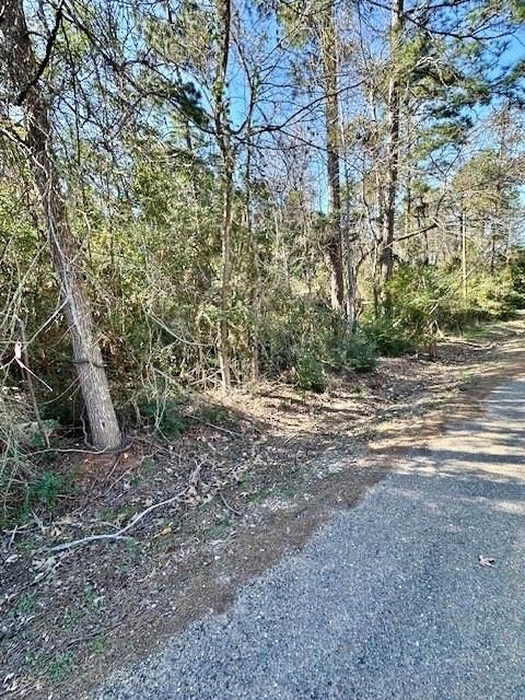 TBD Gazelle Onalaska TX 77360