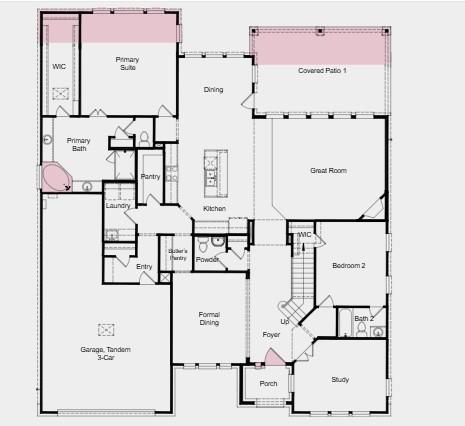 9207 Everlasting Daisy Drive