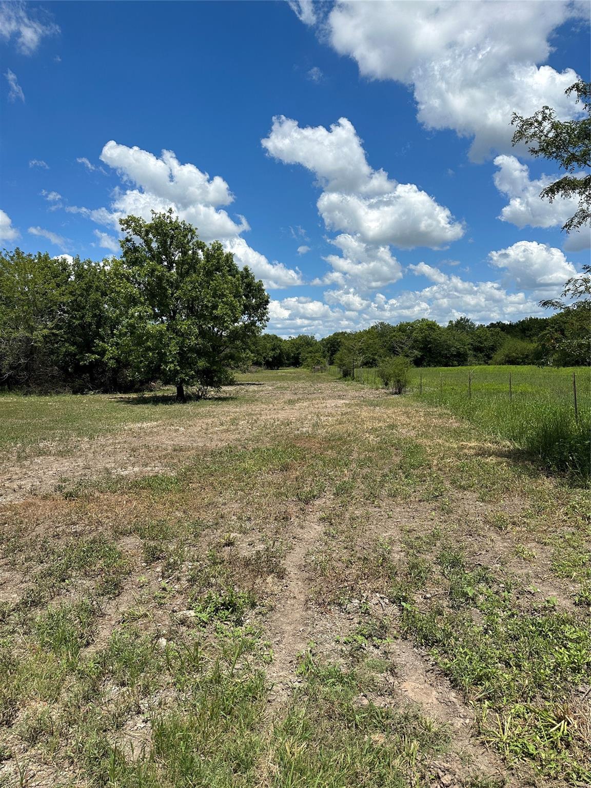 TBD Navasota Ridge Road