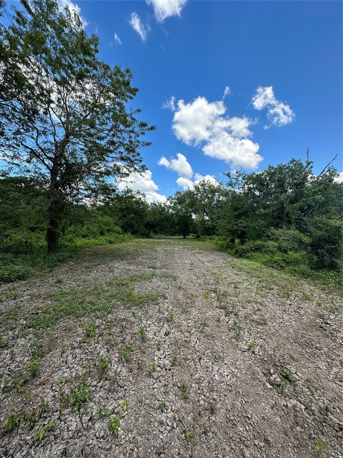 TBD Navasota Ridge Road