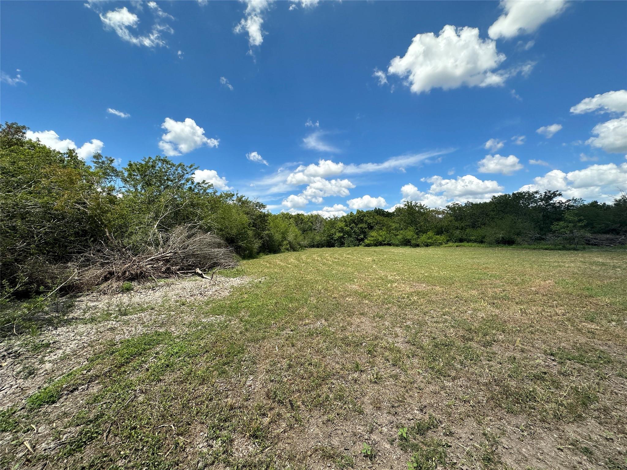 TBD Navasota Ridge Road