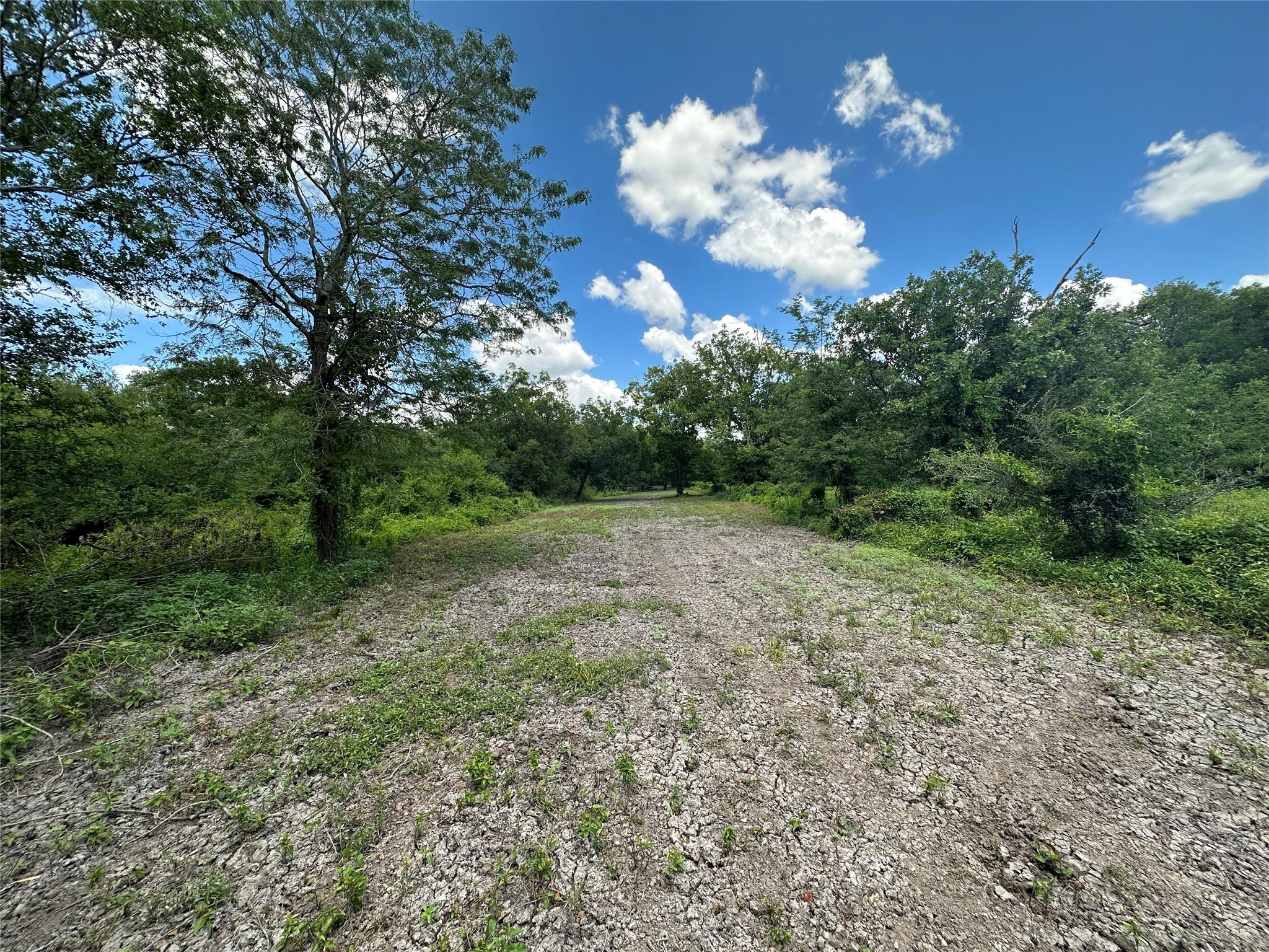 TBD Navasota Ridge Road