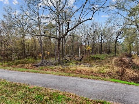 Photo of 1209 County Road 2145, Cleveland, TX 77327 (MLS # 67968996)