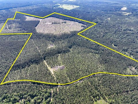 Photo of 8 Fountain Creek Road, Groveton, TX 75845 (MLS # 21030160)