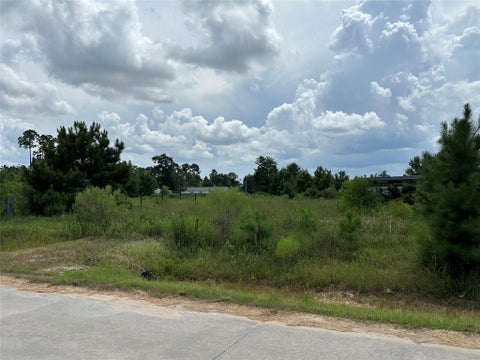Photo of 257 County Road 5025, Cleveland, TX 77327 (MLS # 58291901)