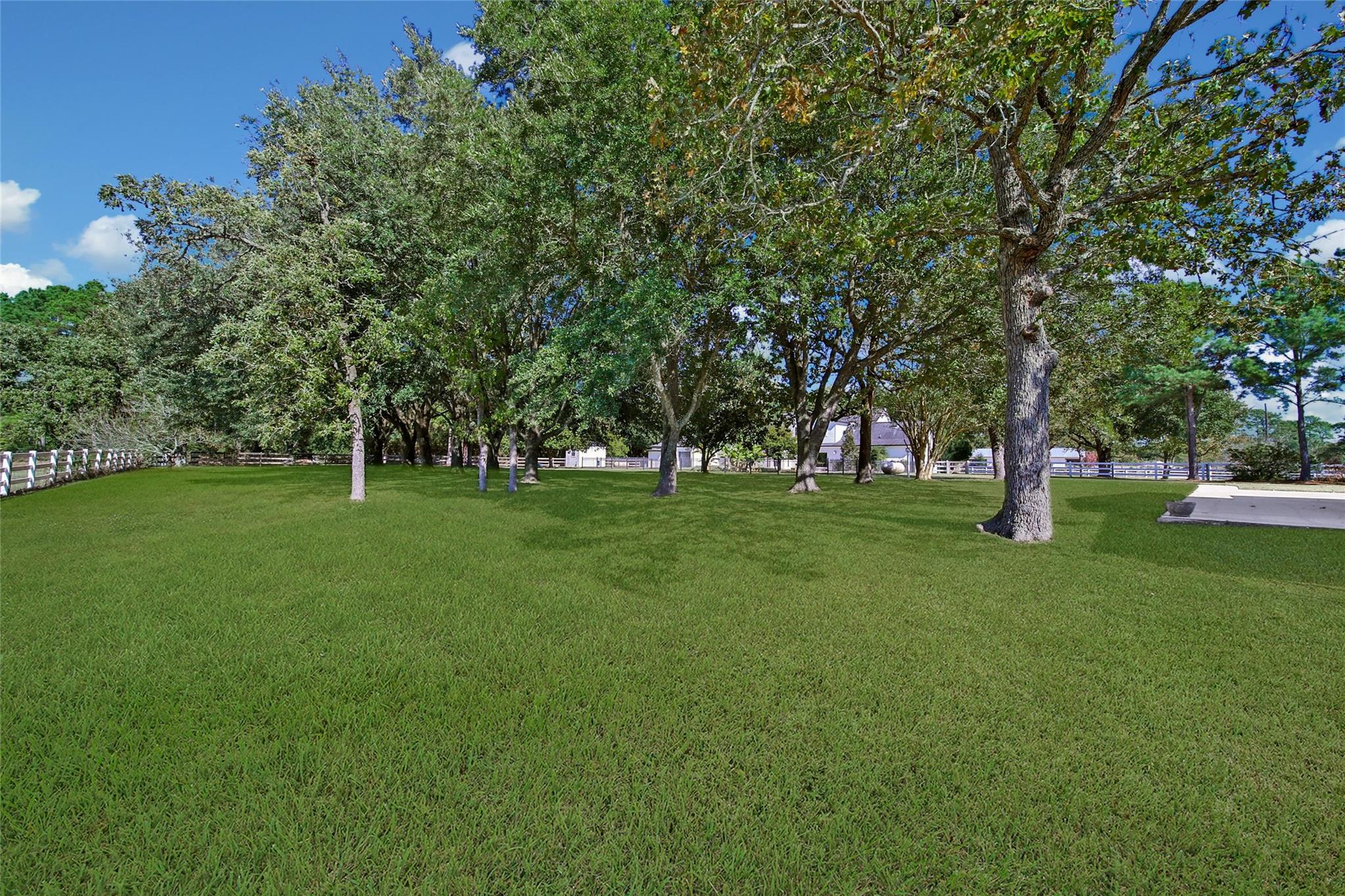 Magnolia, Texas, 77355, United States, 5 Bedrooms Bedrooms, ,3 BathroomsBathrooms,Residential,Active,2034266