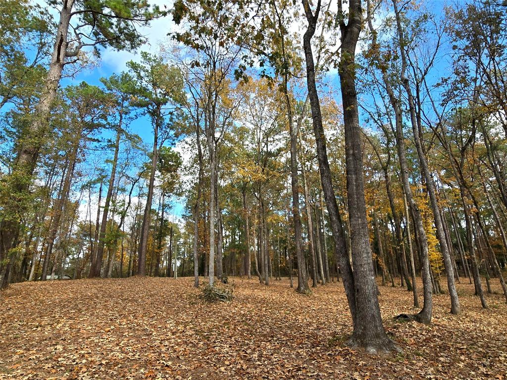 Photo of 351 Dejardo Lane, Coldspring, TX 77331 (MLS # 70909649)