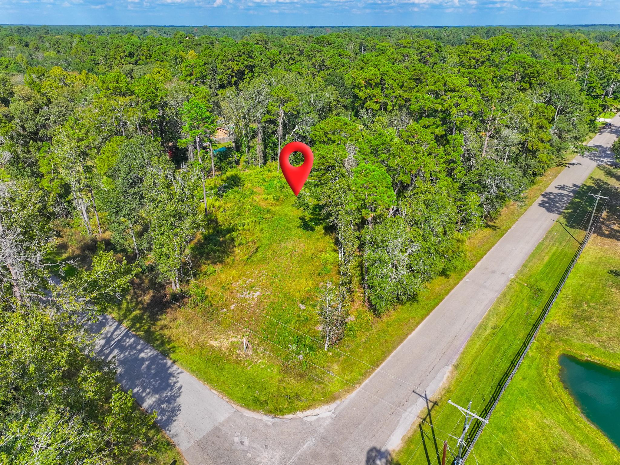 Photo 1 of 13 — 11855 Magnolia Bend Dr, Conroe, TX 77302