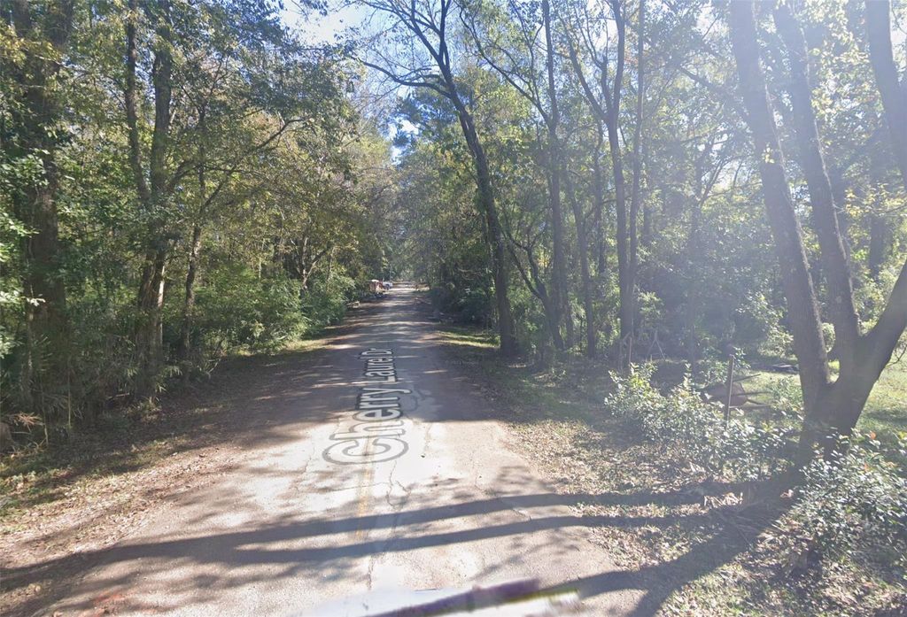 Photo of 120 Cherry Laurel Street, Huffman, TX 77336 (MLS # 62796550)