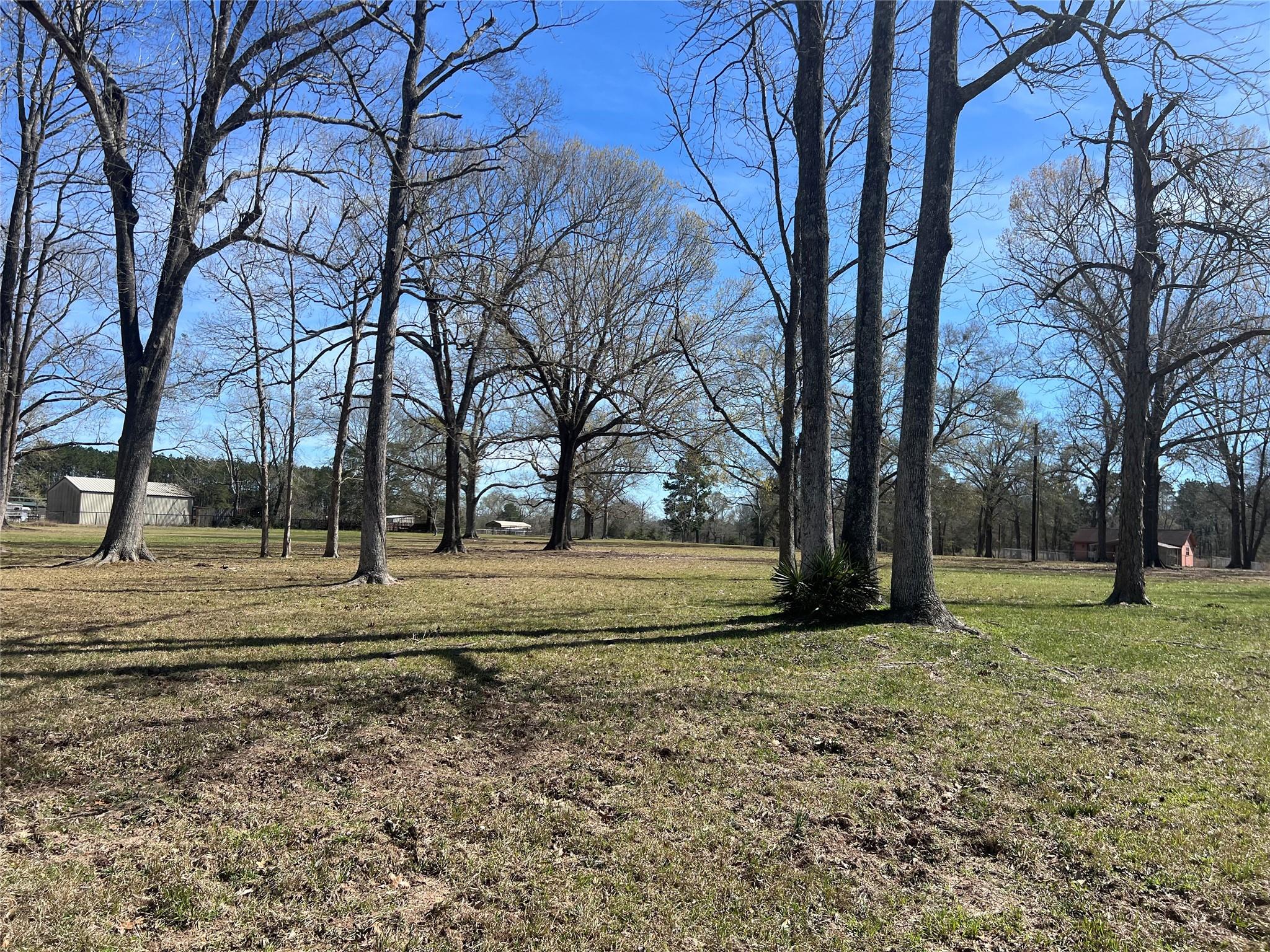 545 County Road 3017