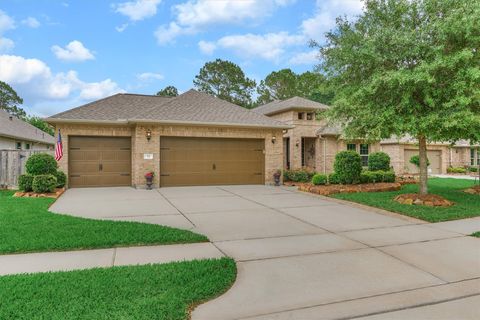 Photo of 11 S Sandbells Park Lane, Montgomery, TX 77316 (MLS # 59096987)