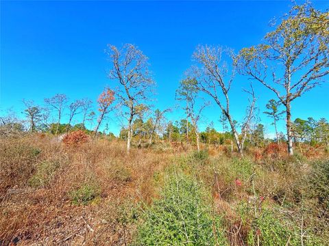 Vacant Land For Sale - TRACT 1 N Farm To Market 2022<br/> Grapeland, TX 75844