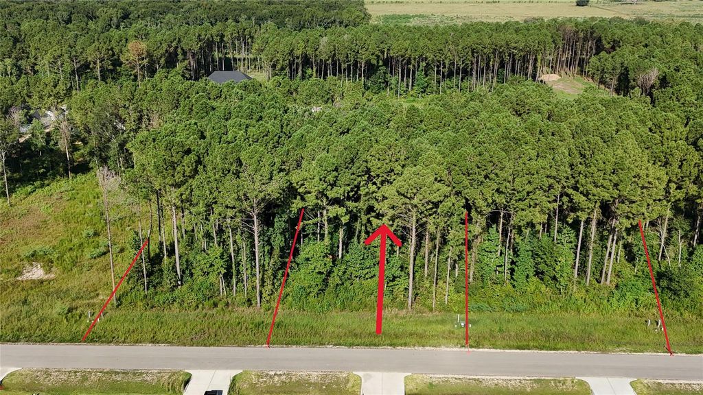 Photo of 3169 Road 66125, Dayton, TX 77535 (MLS # 14478520)