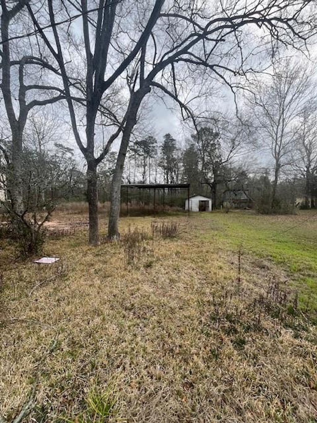 Photo of 48 Magnolia Road, Woodbranch Village, TX 77357 (MLS # 92420653)