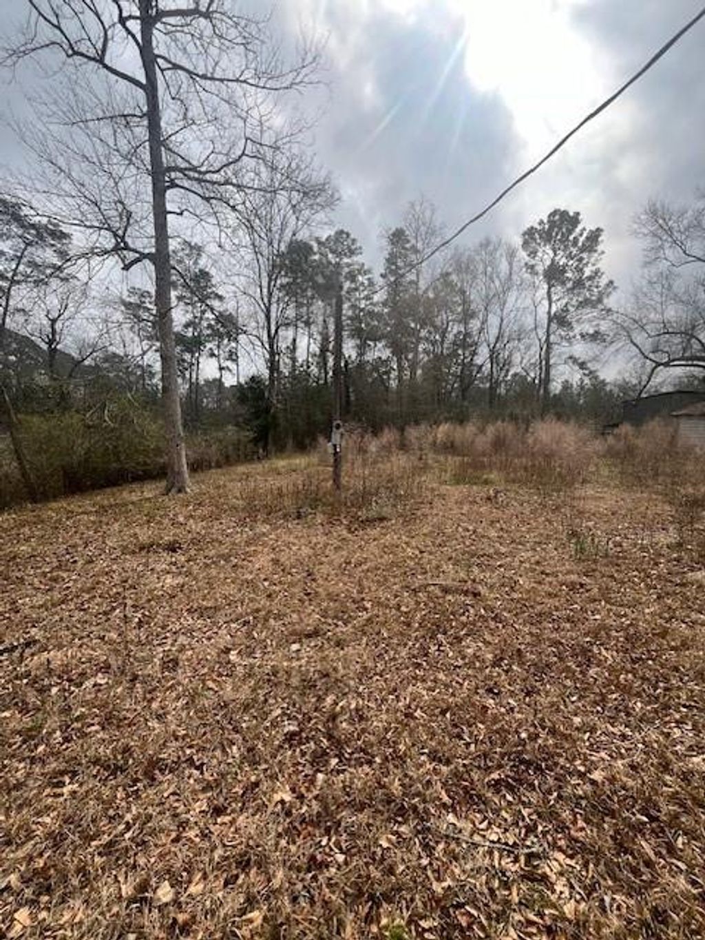 Photo of 48 Magnolia Road, Woodbranch Village, TX 77357 (MLS # 92420653)