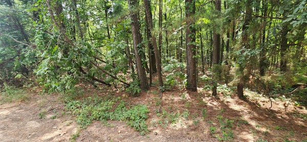 63 TALL OAK RD, HOOKS, TX 75561 - Image b1e3c1ed5d10d5f6d1d89fe2d71f1d1d/3462909308