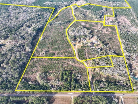 Vacant Land For Sale - T-9 Fm 787<br/> Saratoga, TX 77585