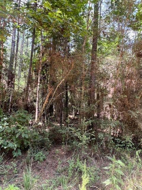 Vacant Land For Sale - 000 Camp Seale Rd<br/> Polk County, Livingston, TX 77351