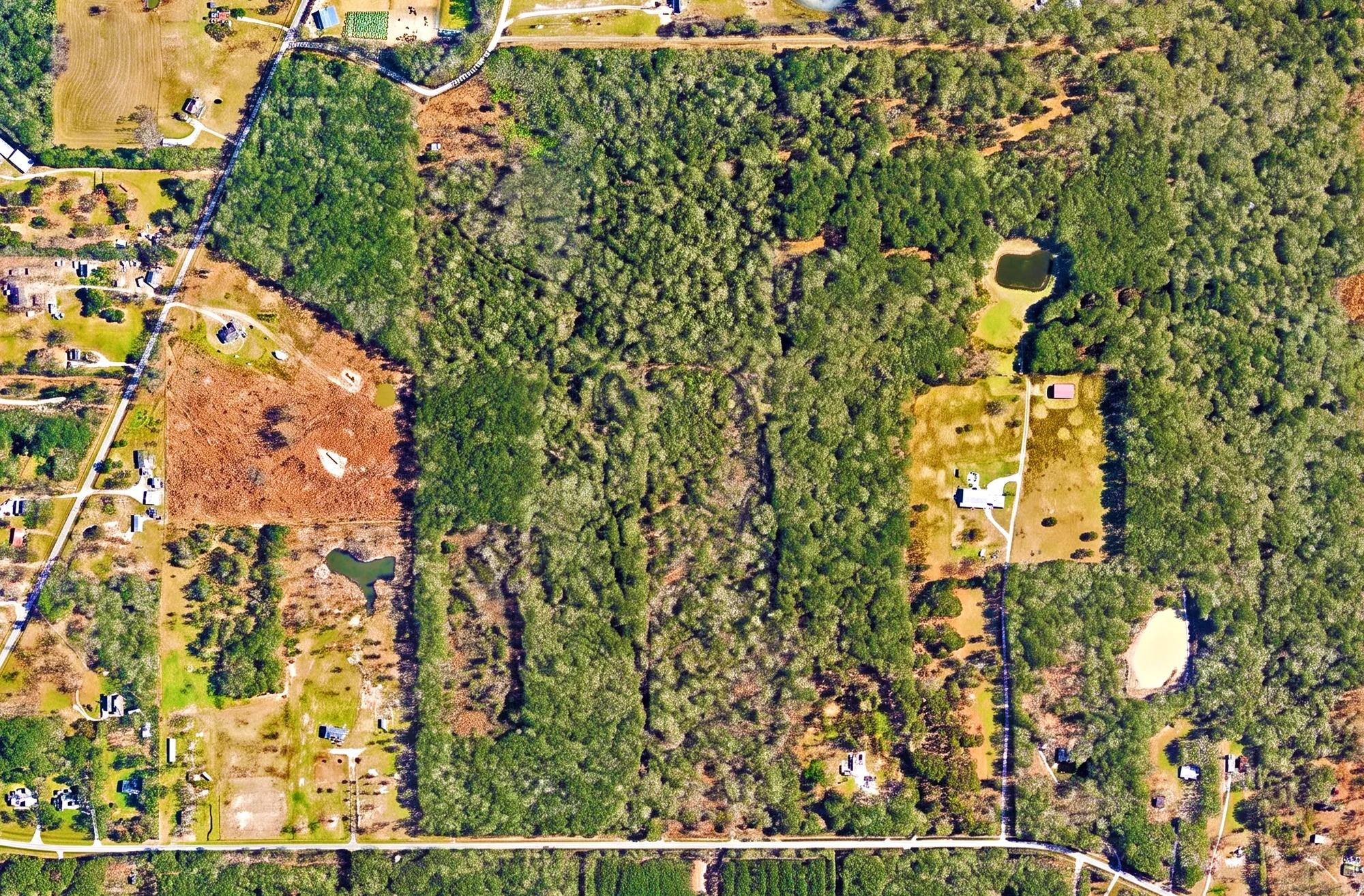 10244 Thomas T Trail