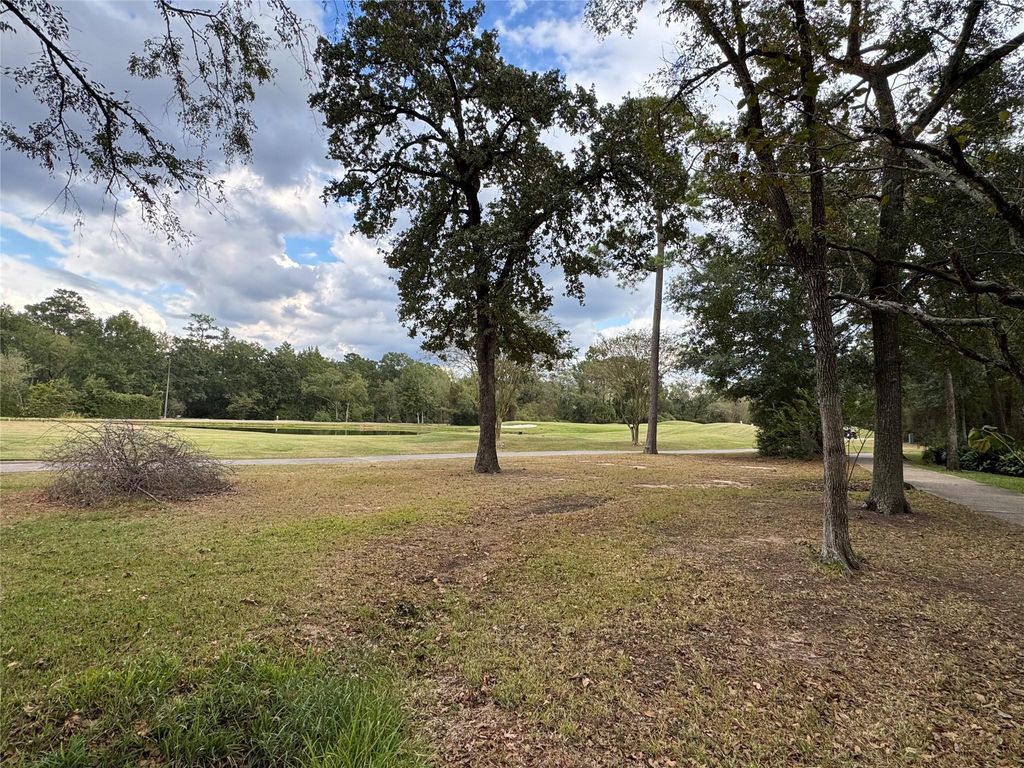 Photo of 10816 Colony Wood Place, Spring, TX 77380 (MLS # 24359759)