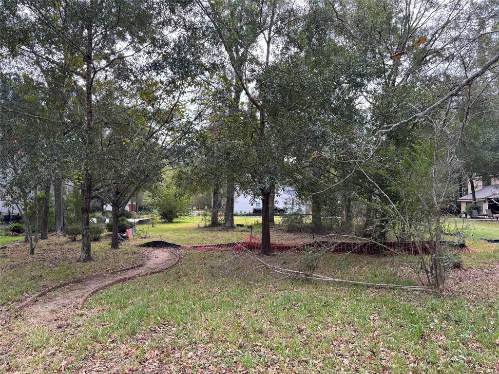 Photo of 10816 Colony Wood Place, Spring, TX 77380 (MLS # 24359759)