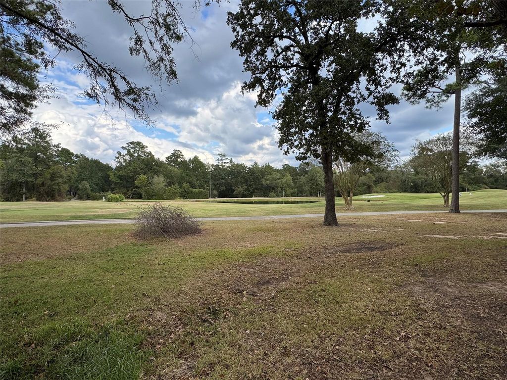 Photo of 10816 Colony Wood Place, Spring, TX 77380 (MLS # 24359759)